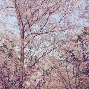 轻风资料,轻风最新歌曲,轻风MV视频,轻风音乐专辑,轻风好听的歌