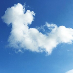 那么爱你为什么