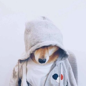 胤璞资料,胤璞最新歌曲,胤璞MV视频,胤璞音乐专辑,胤璞好听的歌