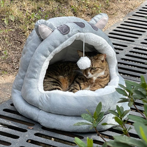 Lil Pizzy资料,Lil Pizzy最新歌曲,Lil PizzyMV视频,Lil Pizzy音乐专辑,Lil Pizzy好听的歌