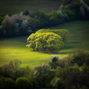 王占峰资料,王占峰最新歌曲,王占峰MV视频,王占峰音乐专辑,王占峰好听的歌