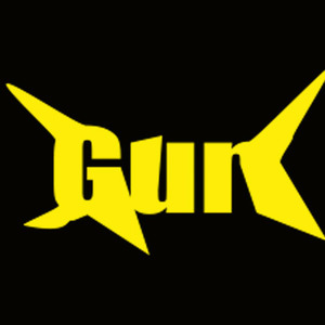 Gun