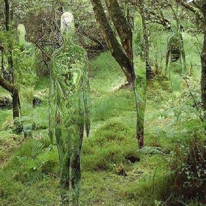 Raino资料,Raino最新歌曲,RainoMV视频,Raino音乐专辑,Raino好听的歌