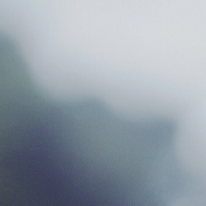 Schrödinger's No.404 Siamese