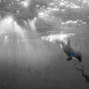 Funny资料,Funny最新歌曲,FunnyMV视频,Funny音乐专辑,Funny好听的歌