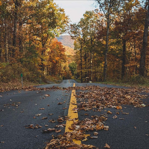 泰勒斯资料,泰勒斯最新歌曲,泰勒斯MV视频,泰勒斯音乐专辑,泰勒斯好听的歌