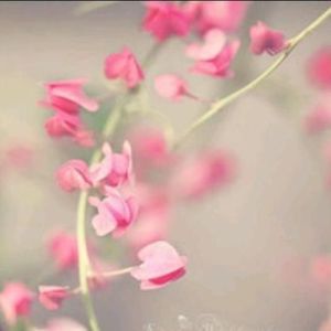 一个人挺好