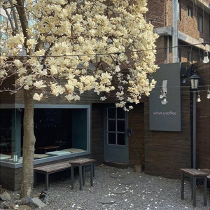 朴上资料,朴上最新歌曲,朴上MV视频,朴上音乐专辑,朴上好听的歌