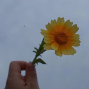 四十七资料,四十七最新歌曲,四十七MV视频,四十七音乐专辑,四十七好听的歌