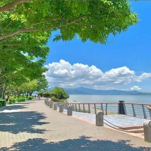 DJ蕊蕊资料,DJ蕊蕊最新歌曲,DJ蕊蕊MV视频,DJ蕊蕊音乐专辑,DJ蕊蕊好听的歌