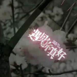 醉听雨资料,醉听雨最新歌曲,醉听雨MV视频,醉听雨音乐专辑,醉听雨好听的歌