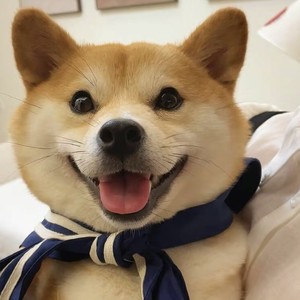 张伟资料,张伟最新歌曲,张伟MV视频,张伟音乐专辑,张伟好听的歌