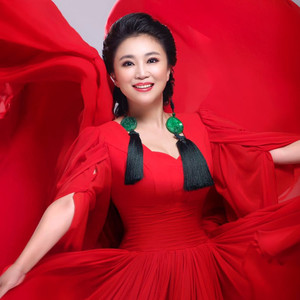 吴春燕 - 琵琶语 (2011渴望吴春燕“母亲水窖”主题音乐会)