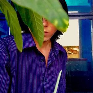 周草freefall地资料,周草freefall地最新歌曲,周草freefall地MV视频,周草freefall地音乐专辑,周草freefall地好听的歌