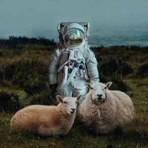 HUNTER资料,HUNTER最新歌曲,HUNTERMV视频,HUNTER音乐专辑,HUNTER好听的歌