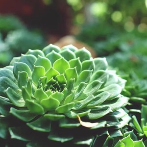 仇兆男 - 一世倾城 (Demo)