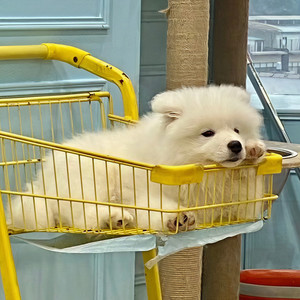 luztempr资料,luztempr最新歌曲,luztemprMV视频,luztempr音乐专辑,luztempr好听的歌