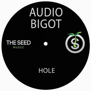 Audio Bigot