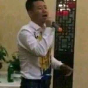 伤口野狼 - 玲珑塔 (DJ版)