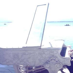 与其资料,与其最新歌曲,与其MV视频,与其音乐专辑,与其好听的歌