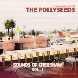 Terrace Martin Presents The Pollyseeds