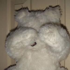 lightbody资料,lightbody最新歌曲,lightbodyMV视频,lightbody音乐专辑,lightbody好听的歌