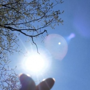 晨露资料,晨露最新歌曲,晨露MV视频,晨露音乐专辑,晨露好听的歌