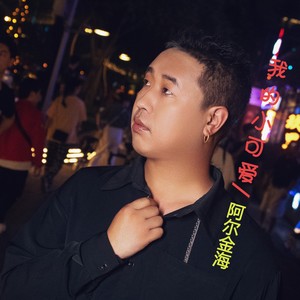 阿尔金海资料,阿尔金海最新歌曲,阿尔金海MV视频,阿尔金海音乐专辑,阿尔金海好听的歌