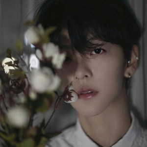 青衣资料,青衣最新歌曲,青衣MV视频,青衣音乐专辑,青衣好听的歌