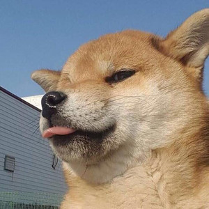 反方向的钟 (Demo)