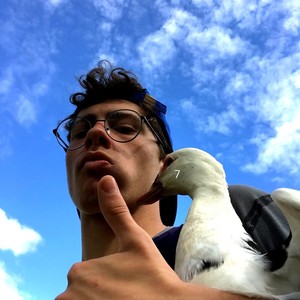 花叔资料,花叔最新歌曲,花叔MV视频,花叔音乐专辑,花叔好听的歌