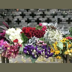 TSO资料,TSO最新歌曲,TSOMV视频,TSO音乐专辑,TSO好听的歌