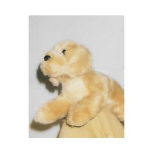 TIPO资料,TIPO最新歌曲,TIPOMV视频,TIPO音乐专辑,TIPO好听的歌