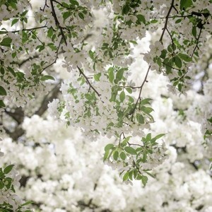 和弦资料,和弦最新歌曲,和弦MV视频,和弦音乐专辑,和弦好听的歌