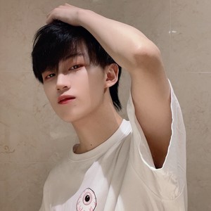 西槿Princekin - 春风十里