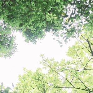 zenaQAQ资料,zenaQAQ最新歌曲,zenaQAQMV视频,zenaQAQ音乐专辑,zenaQAQ好听的歌