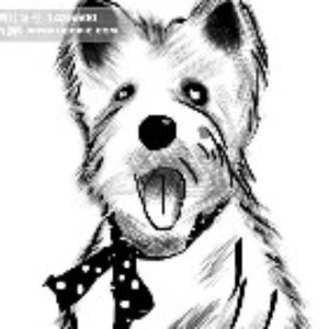 洋梨资料,洋梨最新歌曲,洋梨MV视频,洋梨音乐专辑,洋梨好听的歌