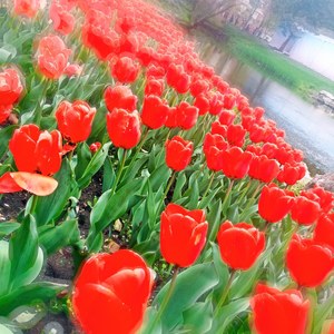 天犬上神资料,天犬上神最新歌曲,天犬上神MV视频,天犬上神音乐专辑,天犬上神好听的歌