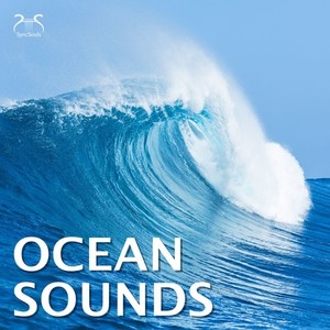 Ocean Relaxation TA资料,Ocean Relaxation TA最新歌曲,Ocean Relaxation TAMV视频,Ocean Relaxation TA音乐专辑,Ocean Relaxation TA好听的歌