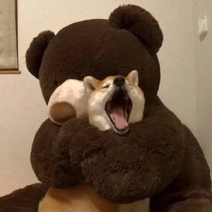 啊皓资料,啊皓最新歌曲,啊皓MV视频,啊皓音乐专辑,啊皓好听的歌