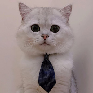 一念＼颜℃资料,一念＼颜℃最新歌曲,一念＼颜℃MV视频,一念＼颜℃音乐专辑,一念＼颜℃好听的歌