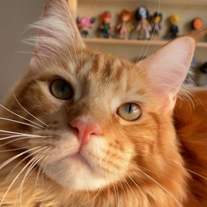 Orange资料,Orange最新歌曲,OrangeMV视频,Orange音乐专辑,Orange好听的歌