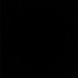 玫瑰资料,玫瑰最新歌曲,玫瑰MV视频,玫瑰音乐专辑,玫瑰好听的歌