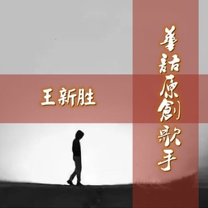 王新胜资料,王新胜最新歌曲,王新胜MV视频,王新胜音乐专辑,王新胜好听的歌