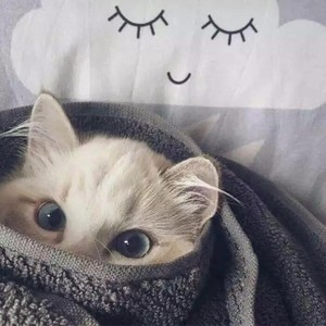 土土的纯牛奶资料,土土的纯牛奶最新歌曲,土土的纯牛奶MV视频,土土的纯牛奶音乐专辑,土土的纯牛奶好听的歌