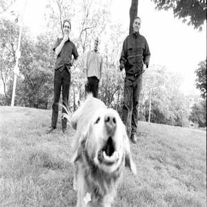 ตะมุตะมิ