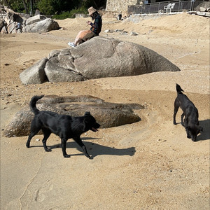 天涯-6393资料,天涯-6393最新歌曲,天涯-6393MV视频,天涯-6393音乐专辑,天涯-6393好听的歌