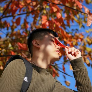 阿雄资料,阿雄最新歌曲,阿雄MV视频,阿雄音乐专辑,阿雄好听的歌