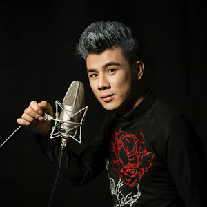 你是猴年派来的救兵吗 (伴奏)