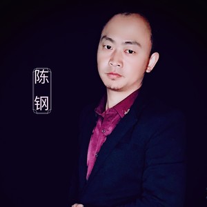 听说当初你找过我-陈钢